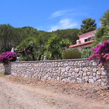 Studio-Appartment In Landhaus Mit Meerblick Porto Azzurro Ngoại thất bức ảnh