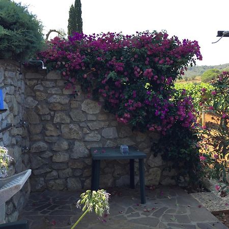 Studio-Appartment In Landhaus Mit Meerblick Porto Azzurro Ngoại thất bức ảnh