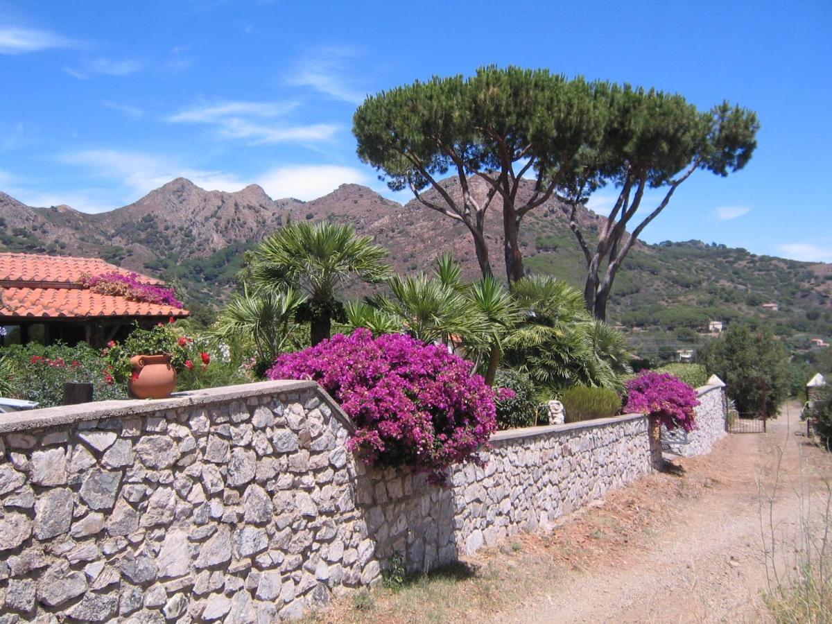 Studio-Appartment In Landhaus Mit Meerblick Porto Azzurro Ngoại thất bức ảnh