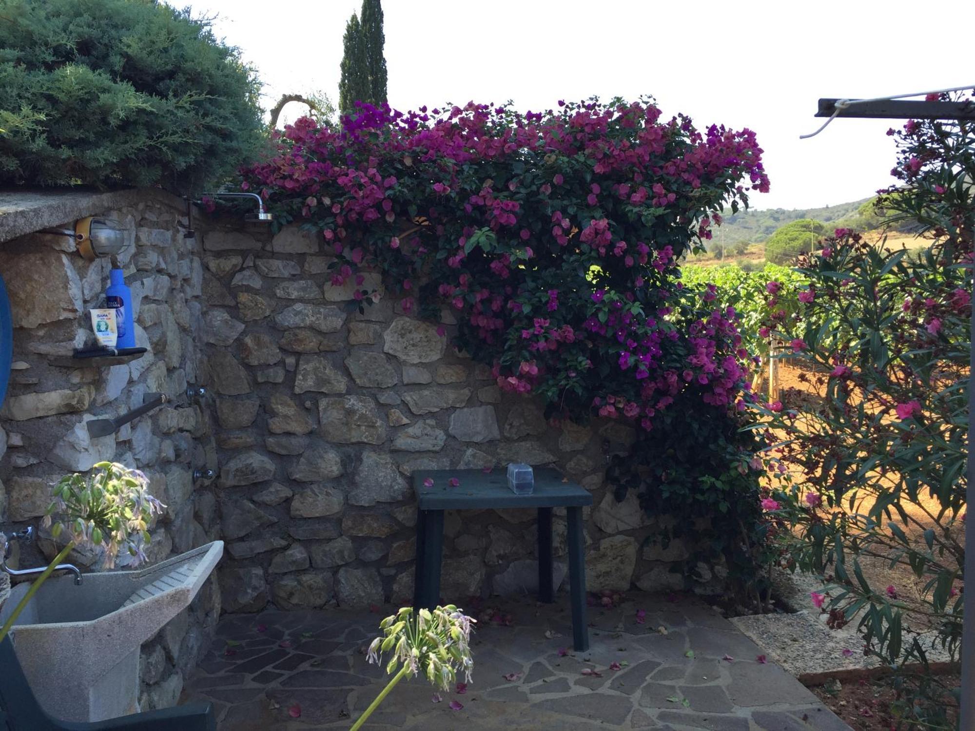 Studio-Appartment In Landhaus Mit Meerblick Porto Azzurro Ngoại thất bức ảnh