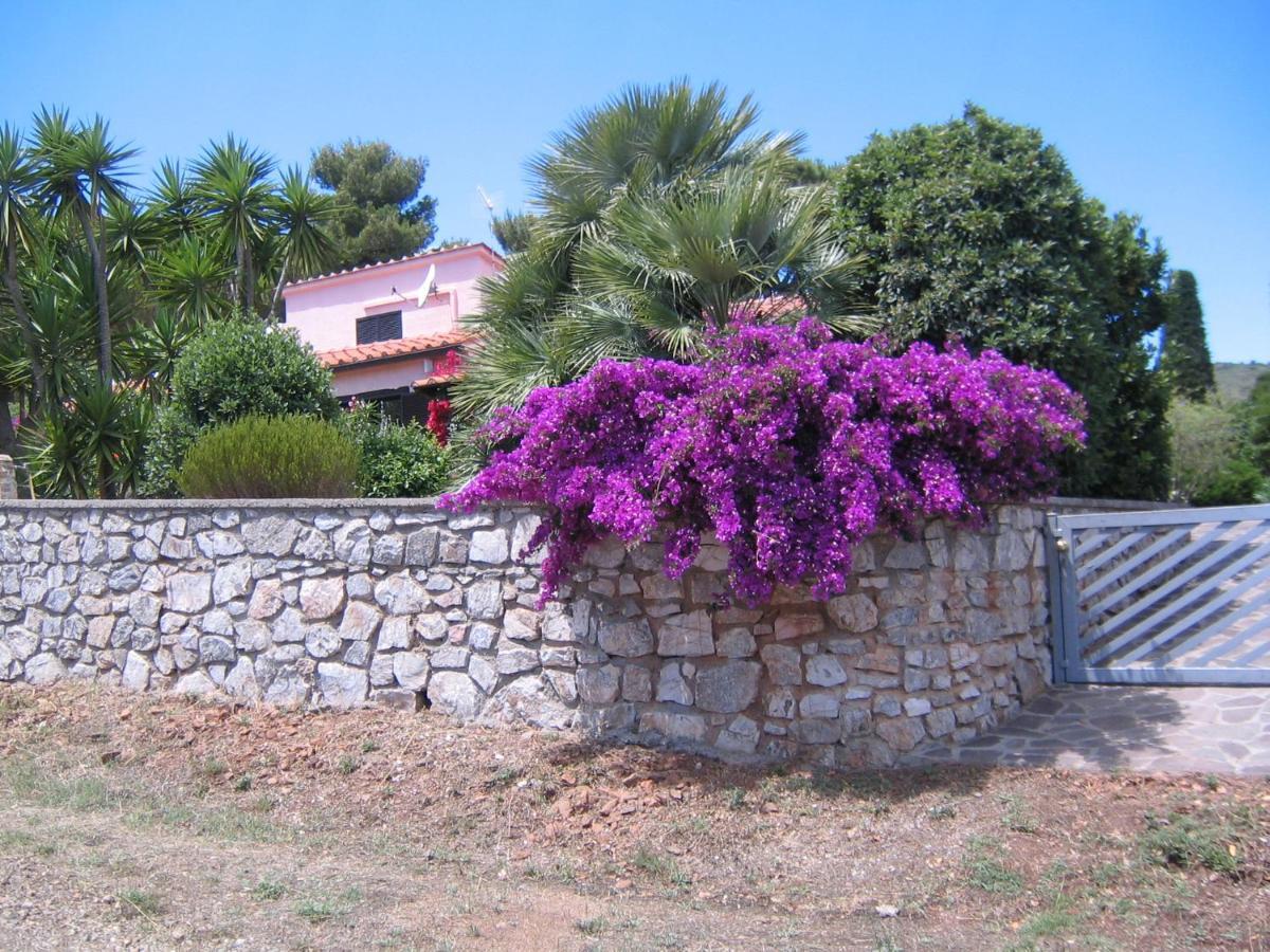 Studio-Appartment In Landhaus Mit Meerblick Porto Azzurro Ngoại thất bức ảnh