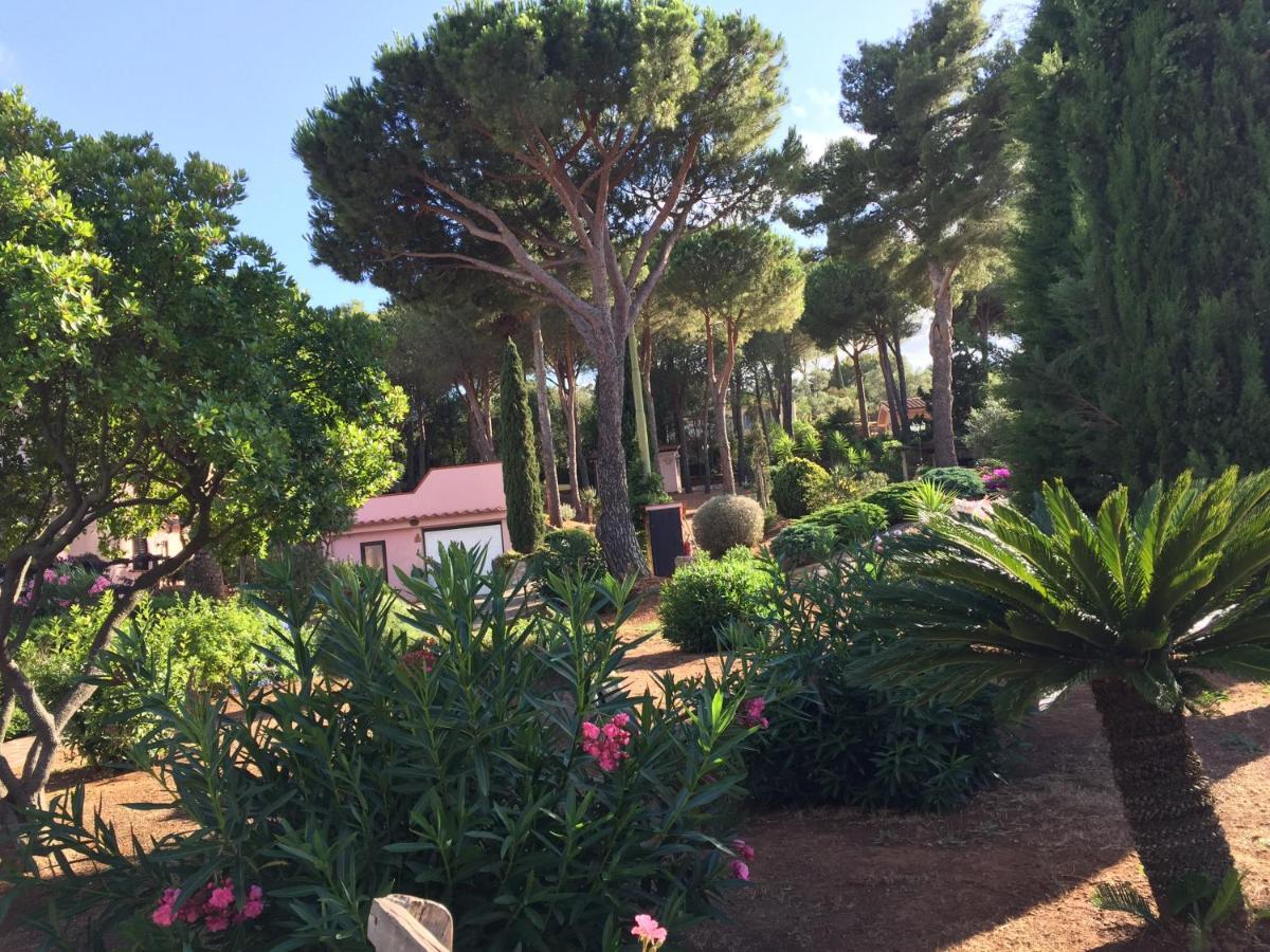 Studio-Appartment In Landhaus Mit Meerblick Porto Azzurro Ngoại thất bức ảnh